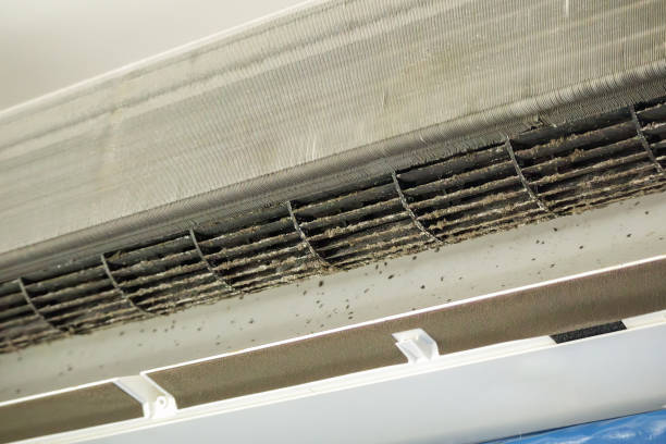 Best Commercial HVAC Duct Cleaning  in Riviera Beach, FL